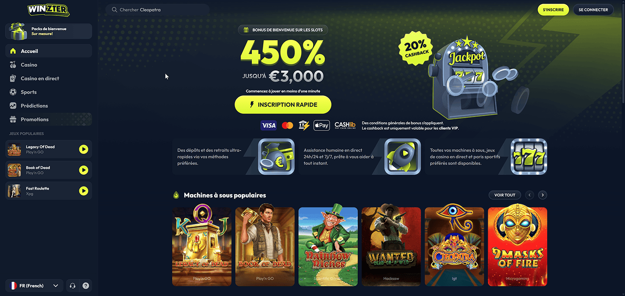 Screenshot of the Winzter website